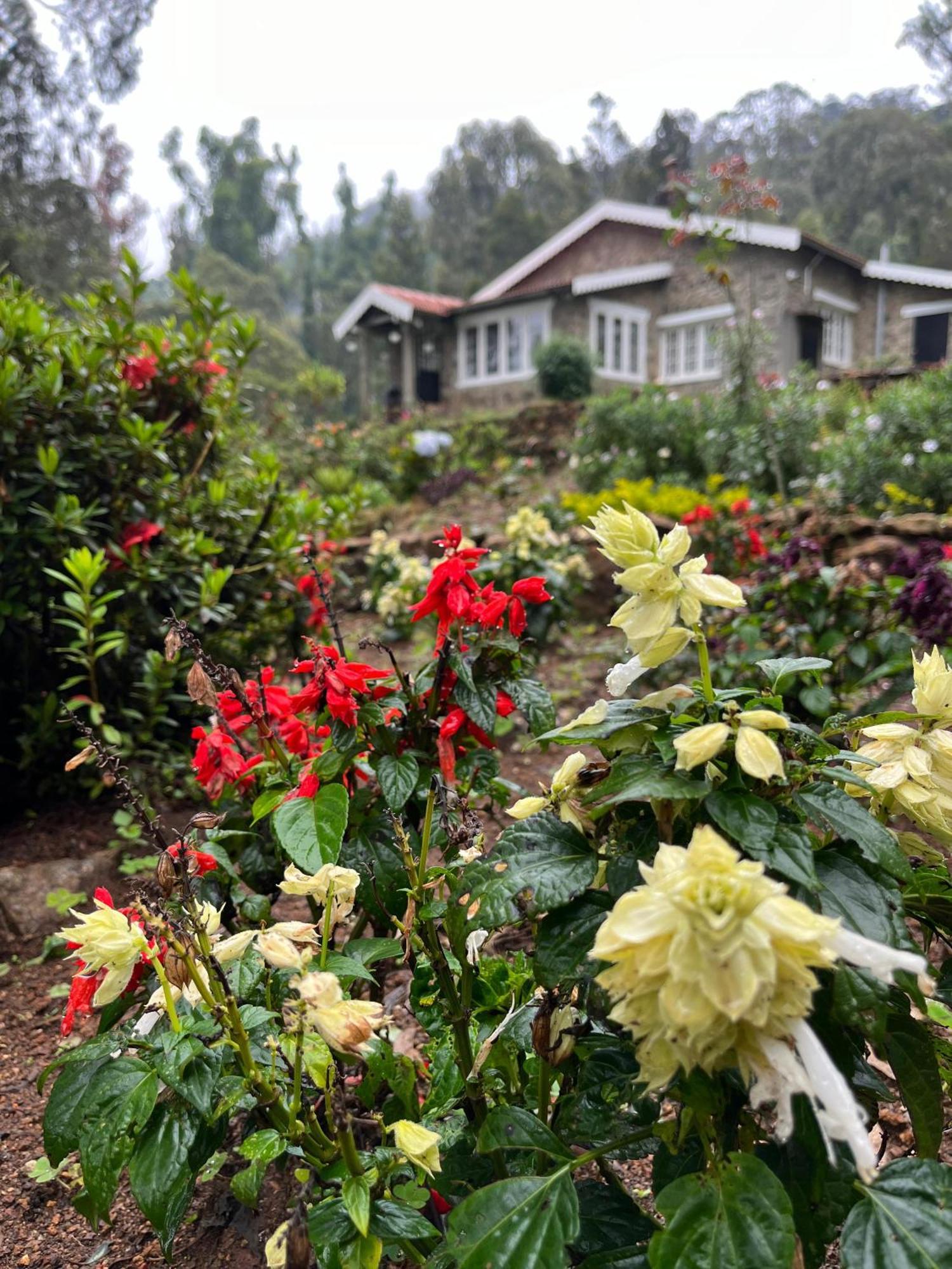 Springdale Villa Kodaikanal Buitenkant foto