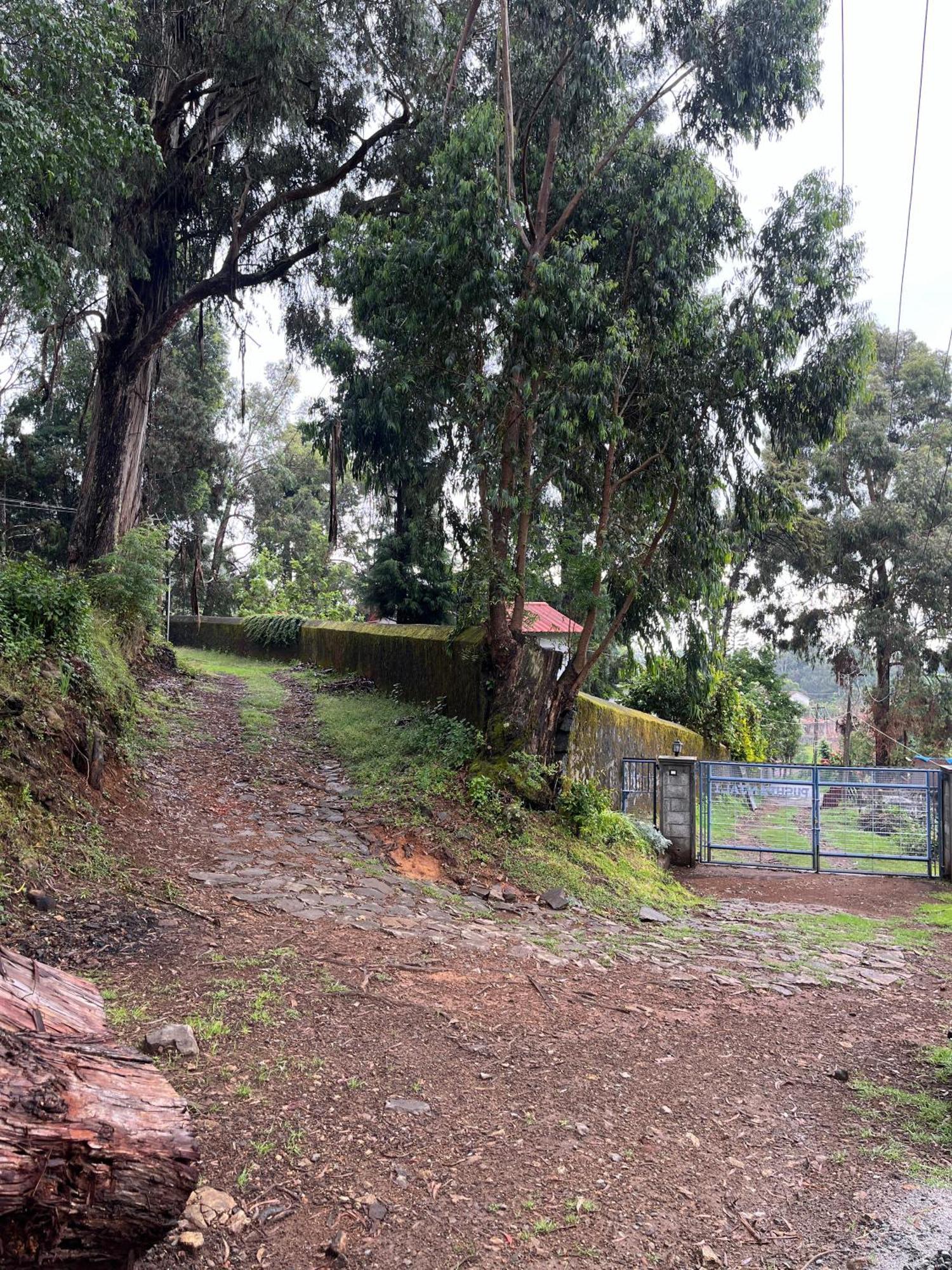Springdale Villa Kodaikanal Buitenkant foto