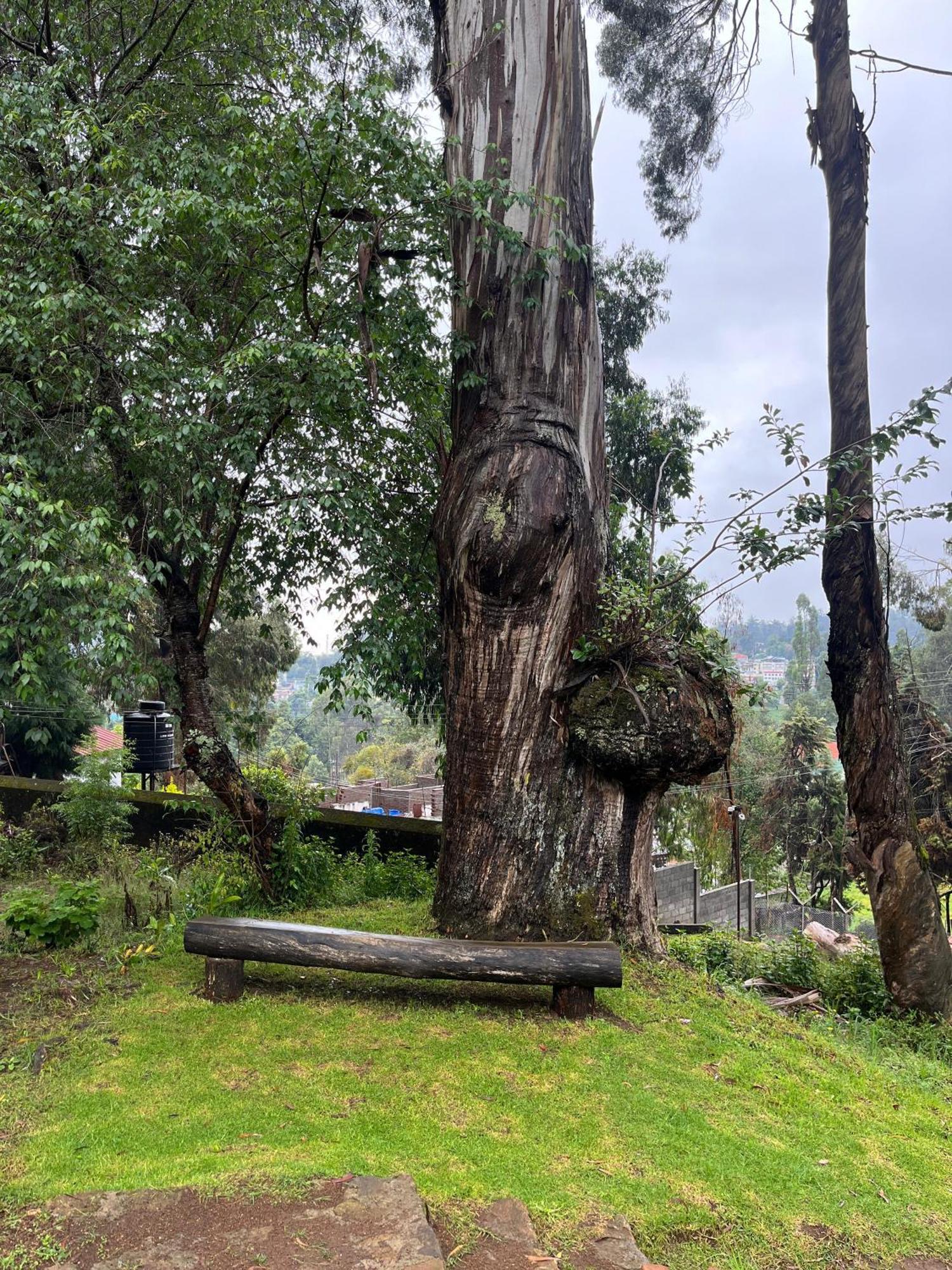 Springdale Villa Kodaikanal Buitenkant foto