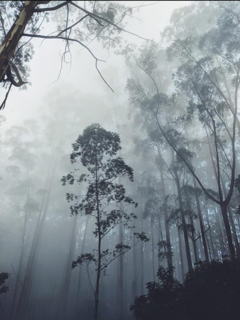 Springdale Villa Kodaikanal Buitenkant foto